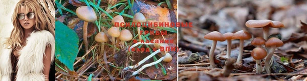 MESCALINE Магас