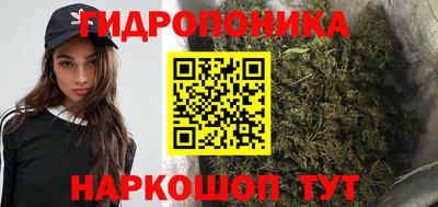 гашик Можайск