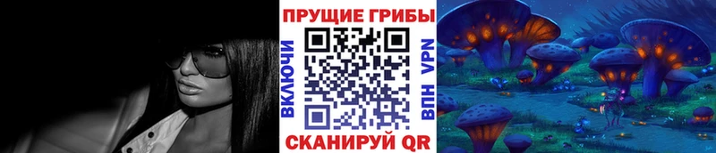 Псилоцибиновые грибы Psilocybe  как найти   shop как зайти  Армавир 