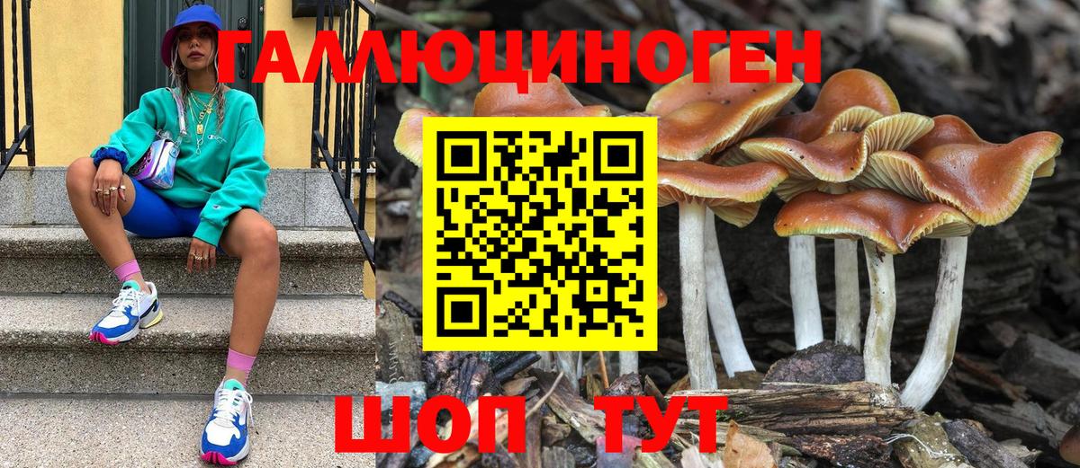 Галлюциногенные грибы ЛСД  Вход с VPN  Галлюциногенные грибы GOLDEN TEACHER  Армавир 