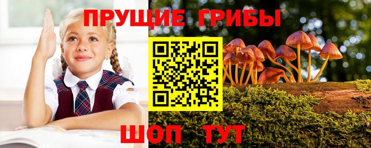 магазин продажи наркотиков  Армавир  Псилоцибиновые грибы GOLDEN TEACHER 