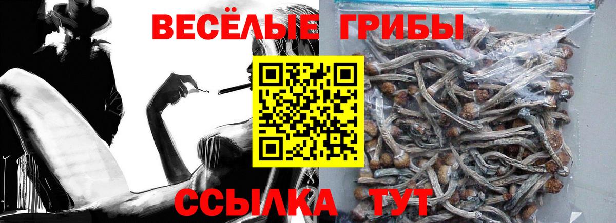 Псилоцибиновые грибы Psilocybine cubensis Армавир