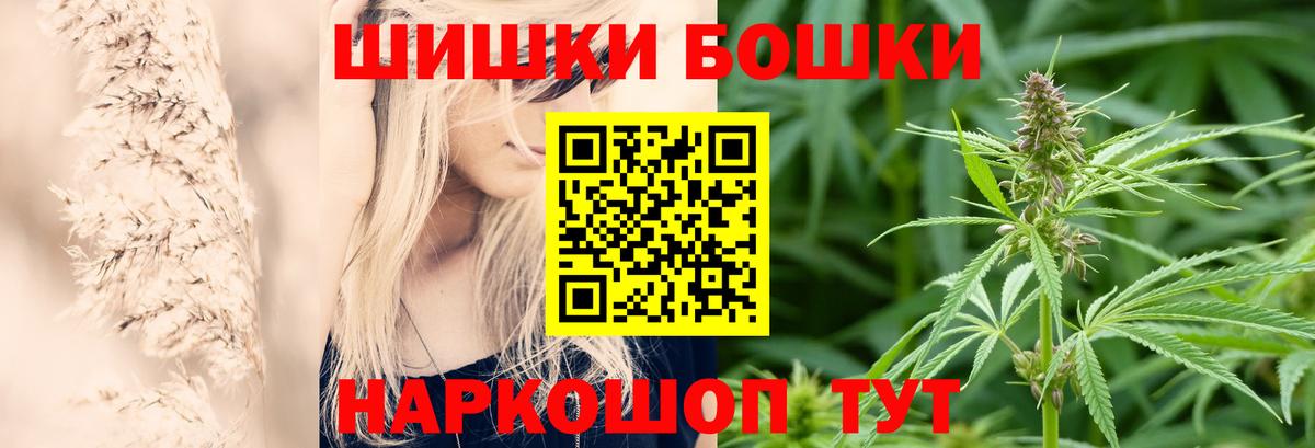 Каннабис планчик  Марихуана конопля  Канабис OG Kush  Шишки марихуана Ganja  Армавир 